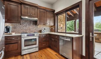 101 Byers Ct, Aspen, CO 81611