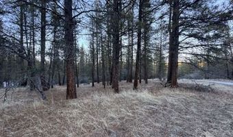 Bobcat Circle, Beatty, OR 97621