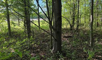 COUNTY ROAD Z lot 4, Aniwa, WI 54408