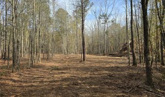 Yatesville Road, Barnesville, GA 30204