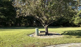 338 Southern Way Lot 61 W/ Boat Slip #3, Arapahoe, NC 28510