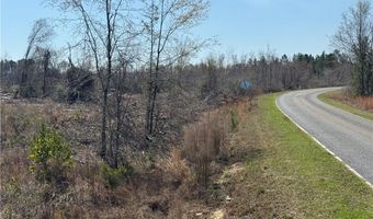 0 35.01 Acres Bacon School Rd, Alma, GA 31510