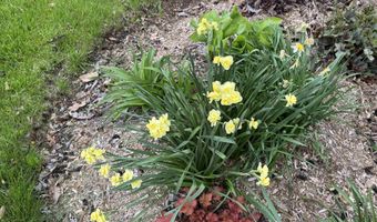 4351 Crown Point Rd, Bridport, VT 05734