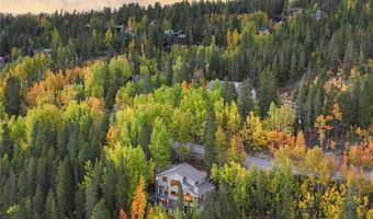 1139 BOREAS PASS Rd, Breckenridge, CO 80424