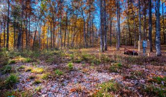 54 E Ridge Rd, Allardt, TN 38504