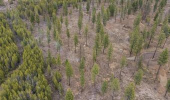 L5 B1 Wallace Lane, Blanchard, ID 83804