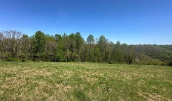 H O Allison lot 10, Baxter, TN 38544