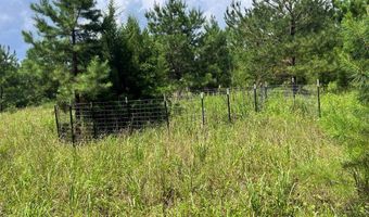 TBD County Road 40, Abbeville, AL 36310