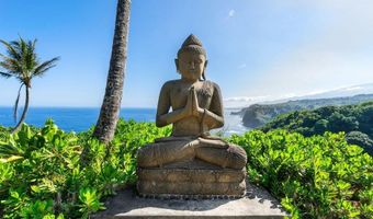 180 Door Of Faith Rd, Haiku, HI 96708