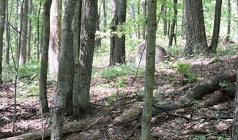 4781 TURKEY TRAIL Lot # 19 Woodland Hts, Amherst, WI 54406