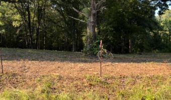 Tract C 1-2 MORNINGSTAR CIRCLE Circle, Benton, AR 72015