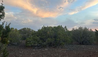 Lot 11 Uphill Trail, Vernon, AZ 85940