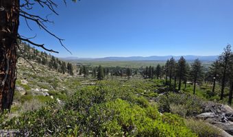 1219-04 002-005 Kingsbury Grade Rd, Gardnerville, NV 89460
