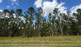 02 Seneca St Ext, Calhoun Falls, SC 29628