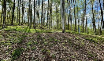 411 Alum Cave Rd, Annville, KY 40402