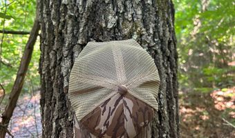 Reeves Road, Ashland, MS 38603