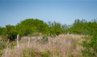 Fm-735, Alice, TX 78332