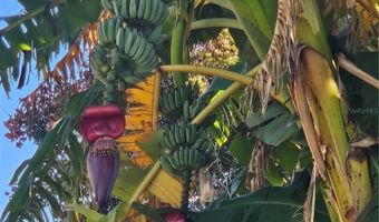 116 RAINTREE Ct, Auburndale, FL 33823