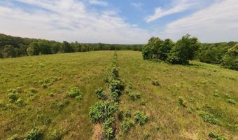 N County Road 113, Alton, MO 65606