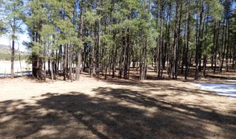8 B County Road 2267 Escudilla Rd, Alpine, AZ 85920