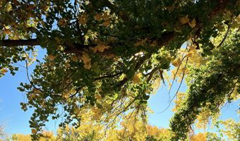 ROAD 2626, Aztec, NM 87410