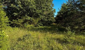 Co Rd 539, Ava, MO 65629