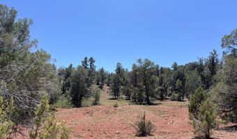 201 Cathedral Valley Rd, Ash Fork, AZ 86320