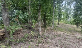 Tract 2 Mill Creek Rd, Andersonville, TN 37705