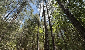 0 Five Notch Rd, Bradley, SC 29848