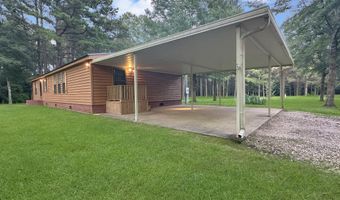 704 Pinola Braxton Rd, Braxton, MS 39044