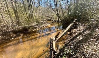 0 Tervin Mill Rd, Andalusia, AL 36421