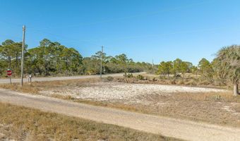 3 Marlin St, Alligator Point, FL 32346