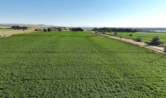 Neeley Road, American Falls, ID 83211