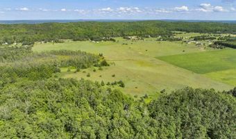 8688 Miller Rd, Alanson, MI 49706