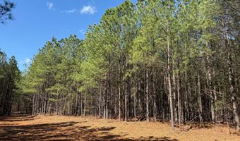 MOUNTAIN CUT RD lot D, Appomattox, VA 24522