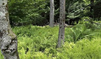 1386 Clif Reynolds Rd, Cambridge, VT 05444
