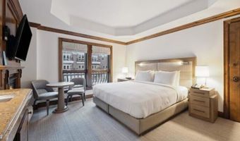 415 E Dean St Unit 10 Weeks 51 + 52, Aspen, CO 81611