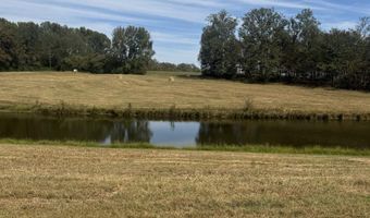 12954 Al Hwy 69 N, Baileyton, AL 35019