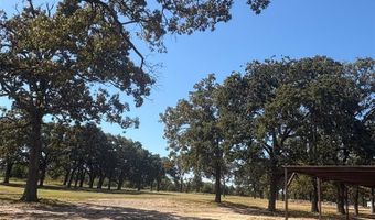 5047 N FM 17, Alba, TX 75410