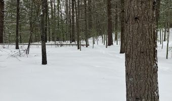 VL Wilderness Circle, Alger, MI 48610