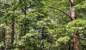 CR 1401, Booneville, MS 38829
