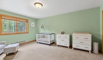 366 Quartzville Rd, Alma, CO 80420