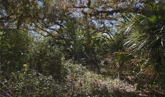 2975 Styles Rd, Alva, FL 33920