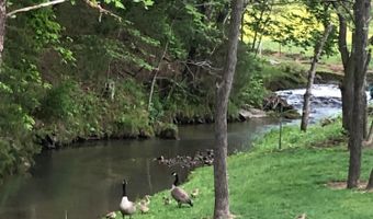375 Middle Creek Rd, Afton, TN 37616