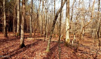 590 247 Country Rd, Bruce, MS 38915