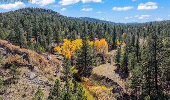 838 County Road 260, Westcliffe, CO 81252