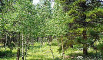 246 Tahosa Park S Rd, Allenspark, CO 80510