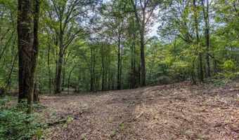 23 59 Ac Chestnut Flats Rd, Andrews, NC 28901