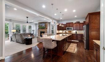41217 BLUE OAT Ct, Aldie, VA 20105
