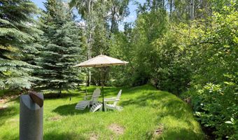 1145 Black Birch Dr, Aspen, CO 81611